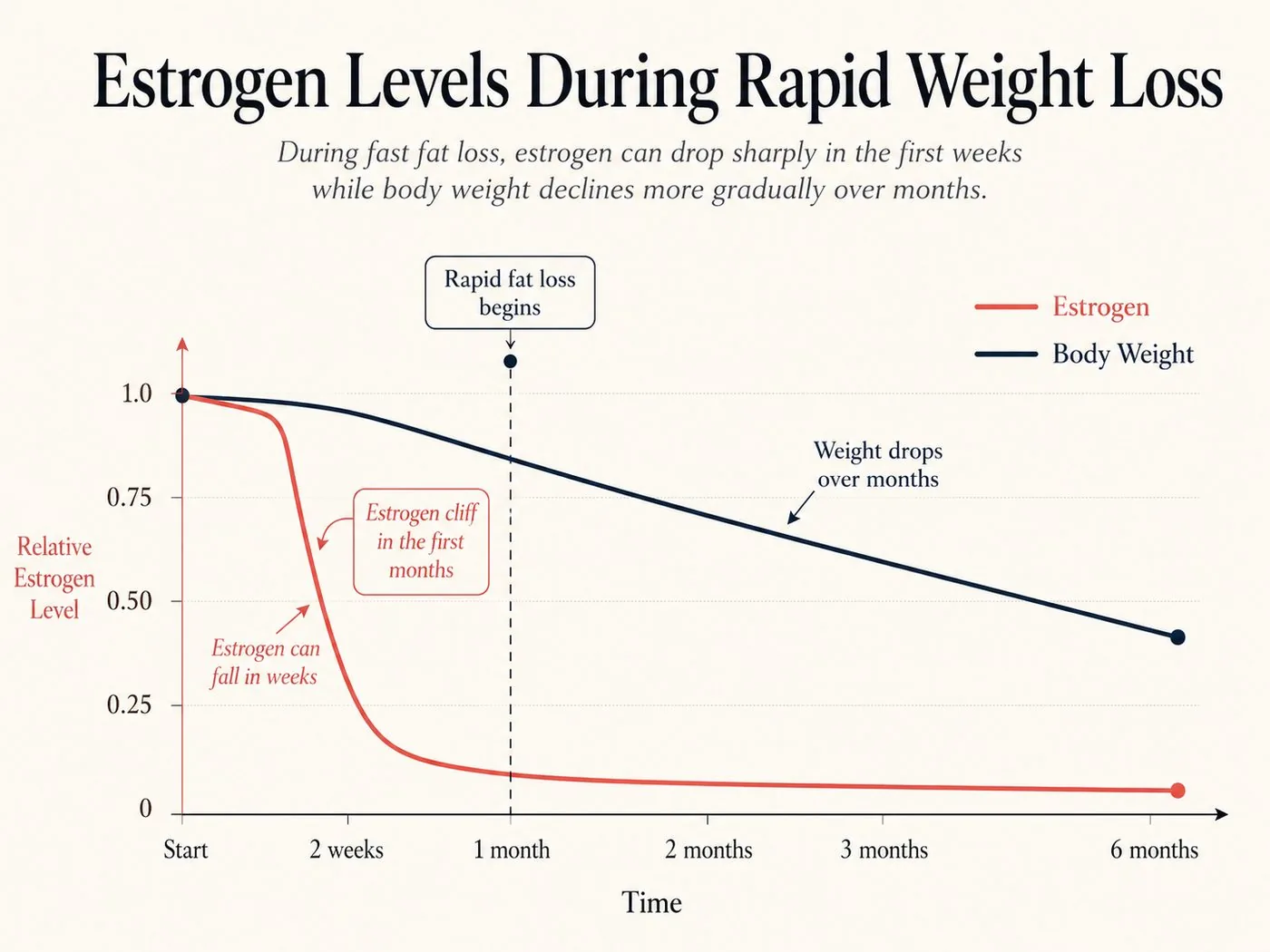 “For years, your body fat was quietly doing something for you that you never knew about,