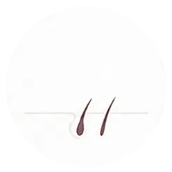Every follicle moves through a repeating cycle. Stress, hormones, DHT, and nutrient gaps can cut the