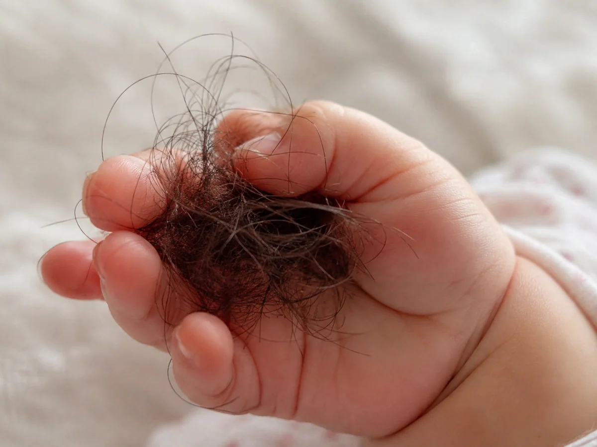 A clump of hair in a baby's hand