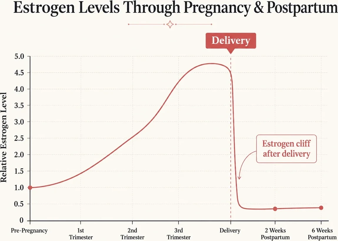 Chart: estrogen levels through pregnancy and the cliff after delivery